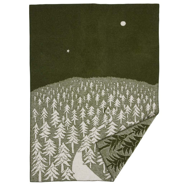 225102-House-in-the-forest-